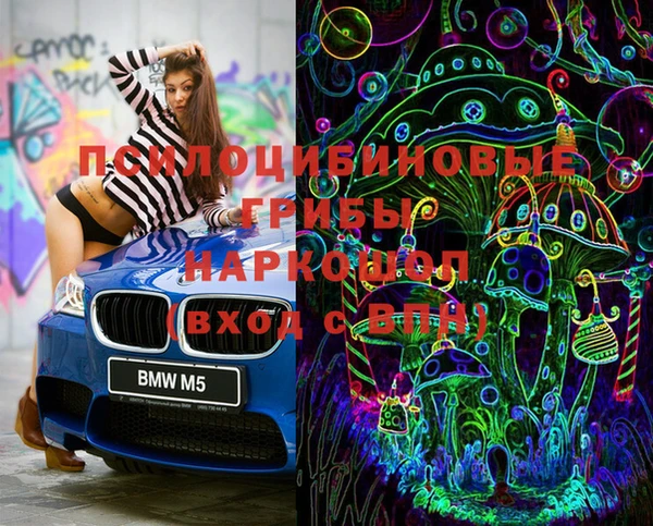 apvp Костерёво