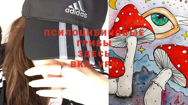 кристаллы Корсаков