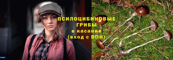 СК Козельск