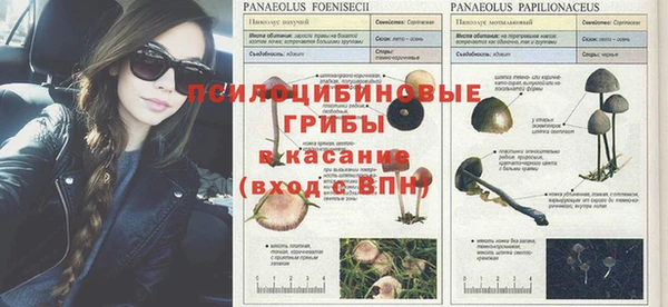 СК Козельск