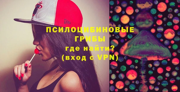 apvp Костерёво