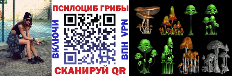 Галлюциногенные грибы Magic Shrooms Медвежьегорск